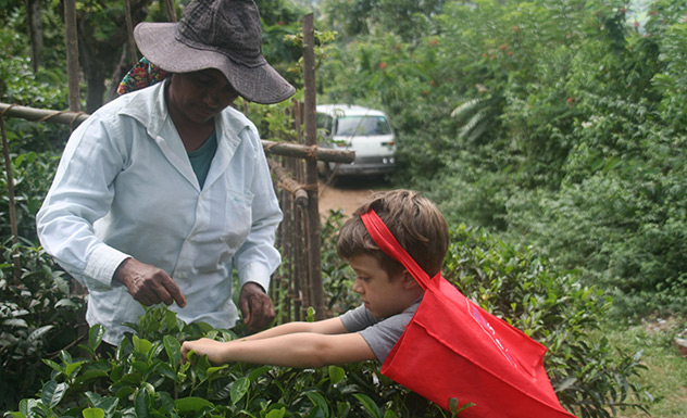 Tea, Treks and Tranquillity - Experience - Sri Lanka In Style